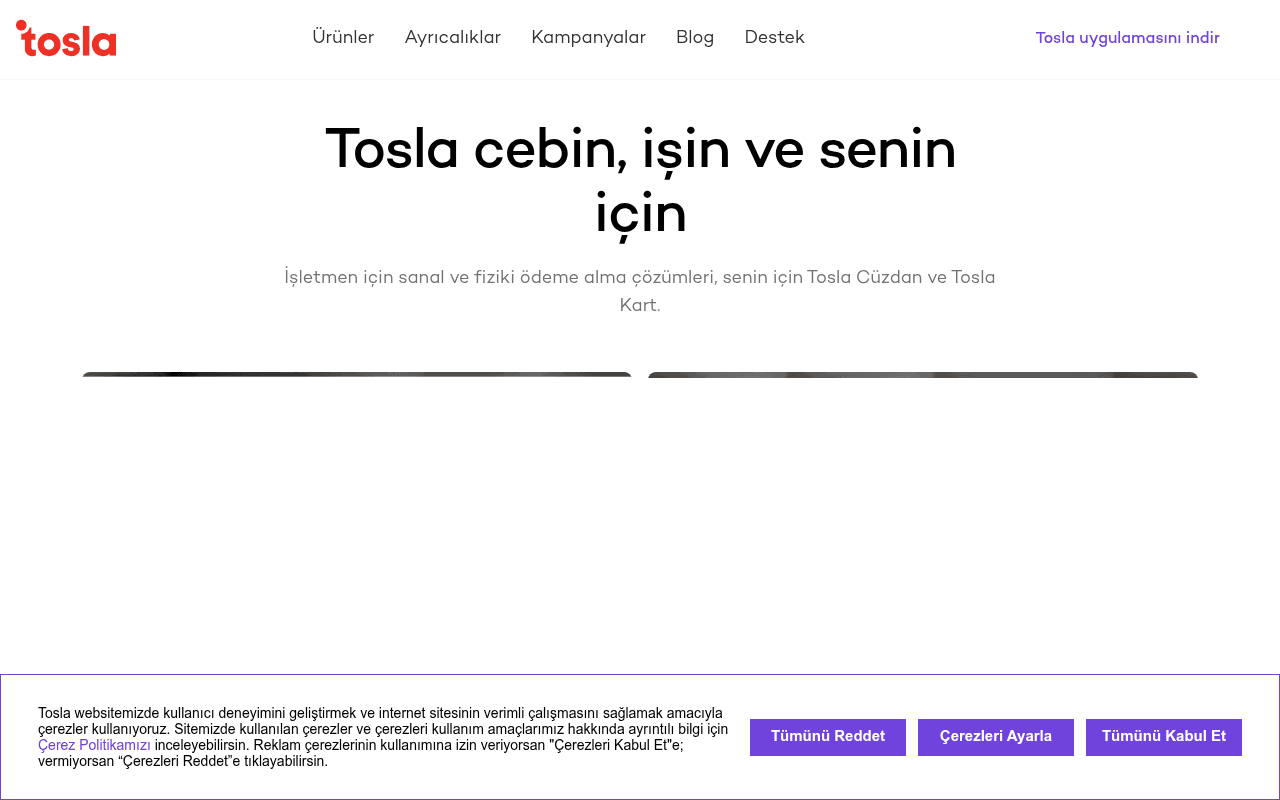 tosla.com landing page screenshot
