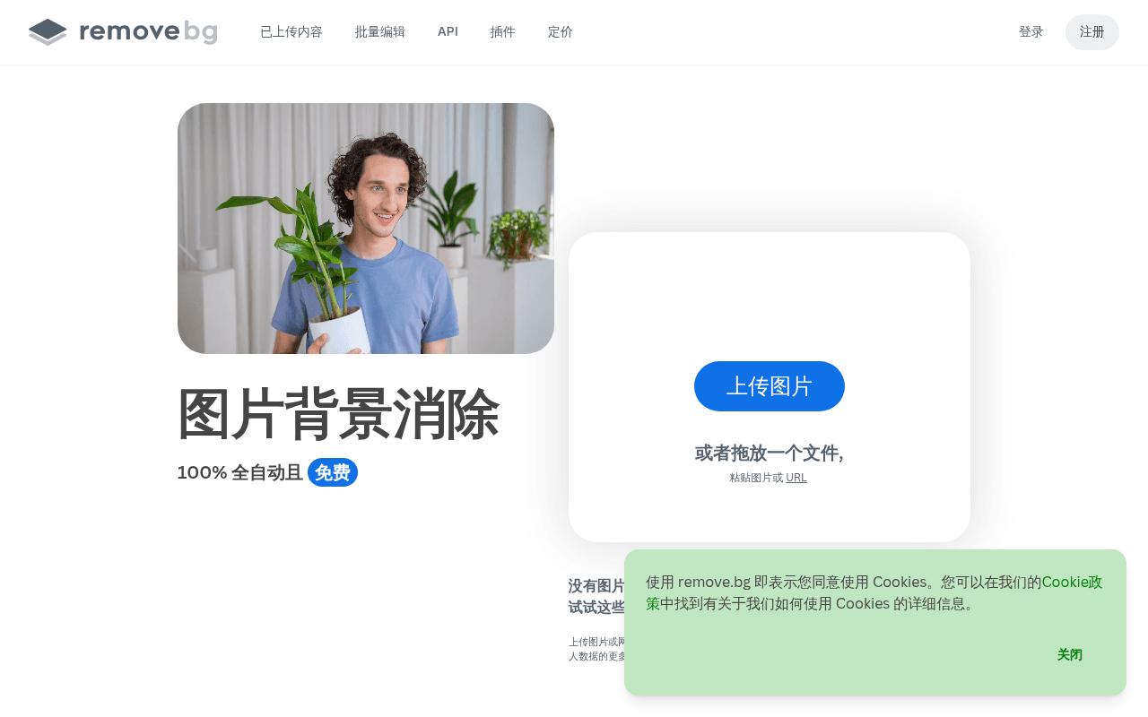 Screenshot of remove.bg